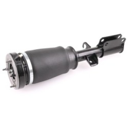 Air Suspension Strut VEMO V20-50-0025 OE Ref 6 761 443