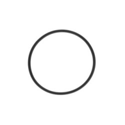 Thermostat Seal VEMO V24-99-9001 OE Ref 60 813 175