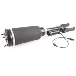 Air Suspension Strut VEMO V30-50-0038 OE Ref 251 320 31 13