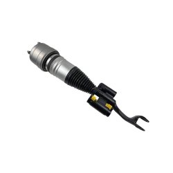 Air Suspension Strut VEMO V30-50-0052 OE Ref 2533200438