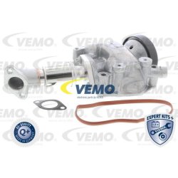 Egr Valve VEMO V30-63-0010 OE Ref 6110900954