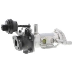 Exhaust Gas Recirculation Cooler VEMO V42-63-0015 OE Ref 82 00 611 709