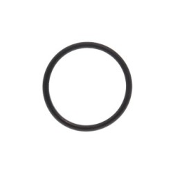 Thermostat Seal VEMO V46-99-9001 OE Ref 77 00 718 380