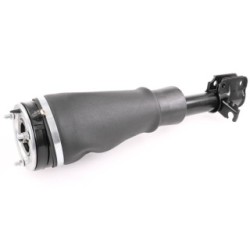 Air Suspension Strut VEMO V48-50-0001 OE Ref RNB000740