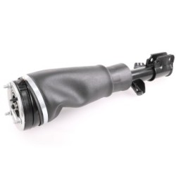 Air Suspension Strut VEMO V48-50-0002 OE Ref RNB000070