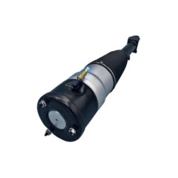 Air Suspension Strut VEMO V58-50-0003 OE Ref 6006351-00-C