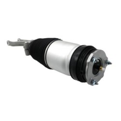 Air Suspension Strut VEMO V58-50-0004 OE Ref 1067361-25-C