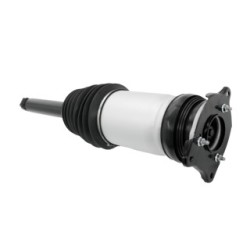 Air Suspension Strut VEMO V58-50-0010 OE Ref 1066466-00-C