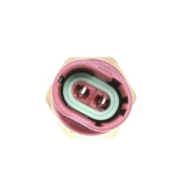 Capteur de température de liquide de refroidissement VEMO V95-72-0025 pour NISSAN, RENAULT et plus encore... VEMO