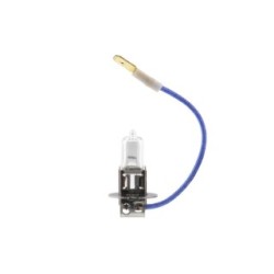 Ampoule de travail VEMO V99-84-0013 pour ALFA ROMEO, AUDI, BMW et plus encore... VEMO