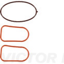 Intake Manifold Gasket Set VICTOR REINZ 11-10002-01