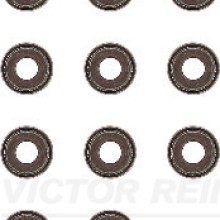 Valve Stem Seal Set VICTOR REINZ 12-52727-01 OE Ref 1320753Y1016x