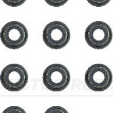Valve Stem Seal Set VICTOR REINZ 12-52829-01 OE Ref 092890600300016x