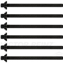 Cylinder Head Bolt Set VICTOR REINZ 14-32103-01 OE Ref 7173983910x