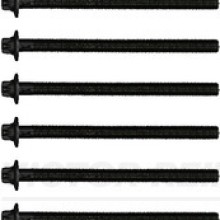 Cylinder Head Bolt Set VICTOR REINZ 14-32331-01 OE Ref 5556681112x