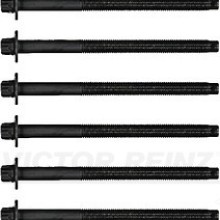 Cylinder Head Bolt Set VICTOR REINZ 14-32336-01 OE Ref 0204C510x