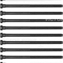 Cylinder Head Bolt Set VICTOR REINZ 14-32384-01 OE Ref WHT00567310x