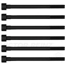 Cylinder Head Bolt Set VICTOR REINZ 14-55008-01 OE Ref 1105641B0010x