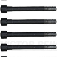 Cylinder Head Bolt Set VICTOR REINZ 14-55096-01 OE Ref 223212600010x