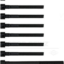 Cylinder Head Bolt Set VICTOR REINZ 14-55097-01 OE Ref 22321230008x