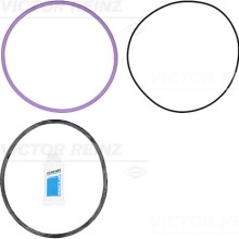 Cylinder Liner Gasket Set VICTOR REINZ 15-10805-01 OE Ref 20520607