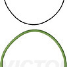 Cylinder Liner Gasket Set VICTOR REINZ 15-37737-01 OE Ref 00001579682x