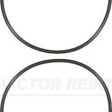 Cylinder Liner Gasket Set VICTOR REINZ 15-39759-01 519650105342x