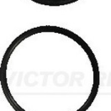Injection Nozzle Repair Kit VICTOR REINZ 15-76106-01 OE Ref 1422564