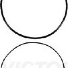 Cylinder Liner Gasket Set VICTOR REINZ 15-76850-01
