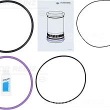 Cylinder Liner Gasket Set VICTOR REINZ 15-76926-03 OE Ref 2711562