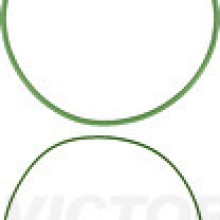 Cylinder Liner Gasket Set VICTOR REINZ 15-76930-01 OE Ref 02599784482x