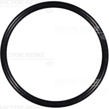 Seal Ring VICTOR REINZ 40-76117-00