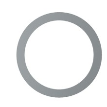 Seal Ring WABCO 8114010574 OE Ref 0247501 WABCO