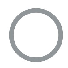 Seal Ring WABCO 8114010664 WABCO