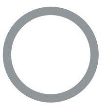 Seal Ring WABCO 8114010804 OE Ref 01118736 WABCO